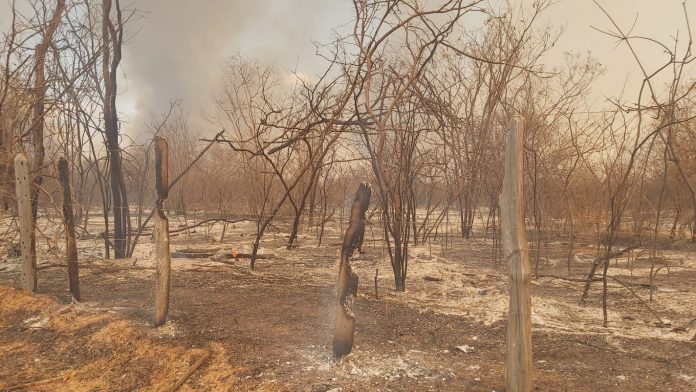 c33b077f-34fd-468e-bcf3-97eec77165cf